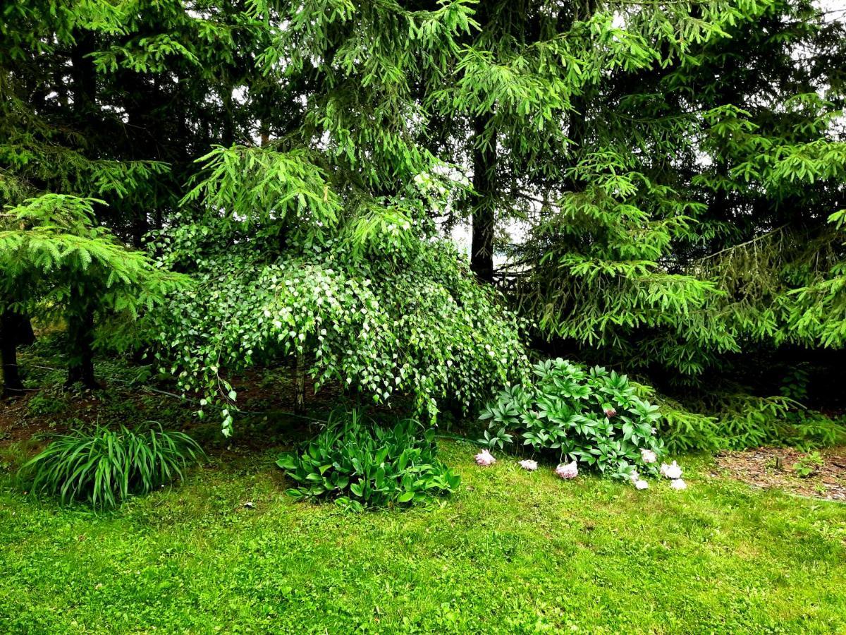 Kosiedlisko Villa Kraśnik Exteriör bild